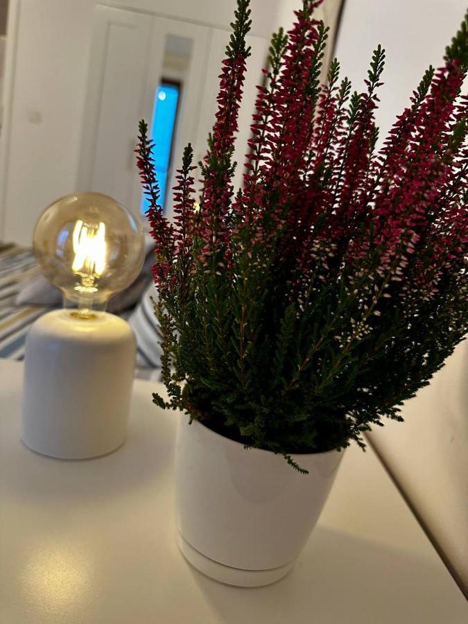 Apartament Centrum, Miejsce Parkingowe W Cenie Varsavia Esterno foto